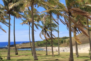 Isola di Pasqua: Moai Tour privato di un giorno intero