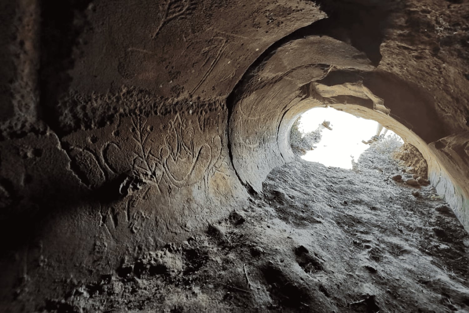 Île de Pâques: randonnée privée au volcan Poike avec guide