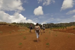 Påskön: Poike Volcano privat vandringstur med guide