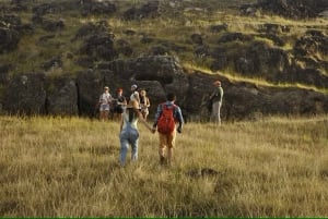 Isola di Pasqua: tour escursionistico privato del vulcano Poike con guida