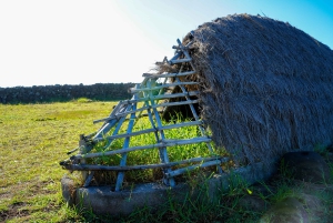 Osterinsel: Privater Ganztag Geschichte der Moai