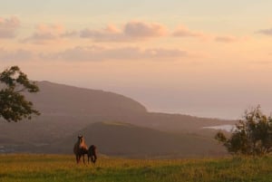 Monte Terevaka: Passeio a cavalo e plantação pela manhã