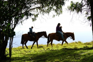 Île de Pâques : Promenade à cheval privée au mont Terevaka