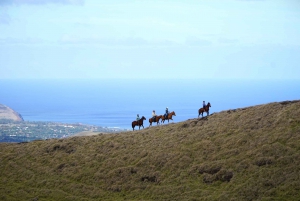 Easter Island: Private horse ride to mount Terevaka