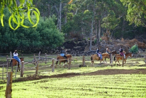 Paaseiland: Privérit te paard naar de berg Terevaka