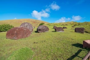 Île de Pâques : Excursion privée au nord et à l'ouest de l'île de Pâques