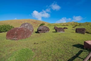 Easter Island Private Tour: Historical Journey North & West