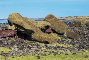 Easter Island Private Tour: Majestic Megaliths South & East