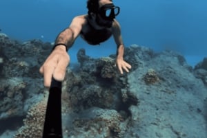 Isola di Pasqua: Tour di snorqueling sulla barriera corallina