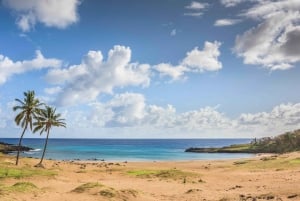 Easter Island: The Moai Trail Private Archeological Tour