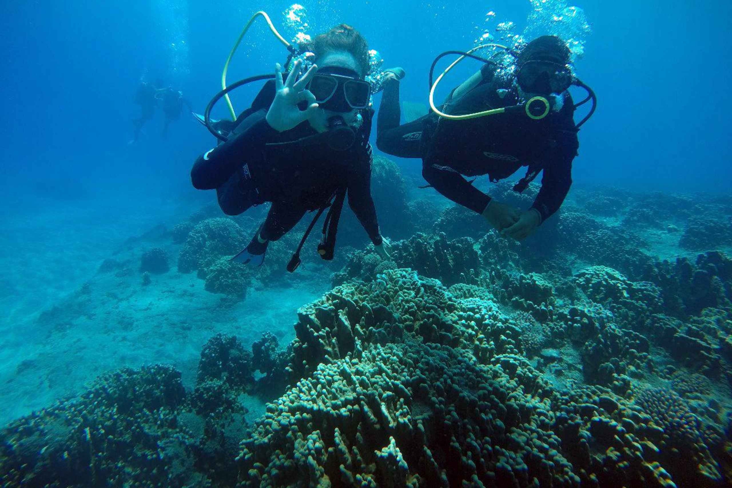 Ilha de Páscoa: Mergulho tropical