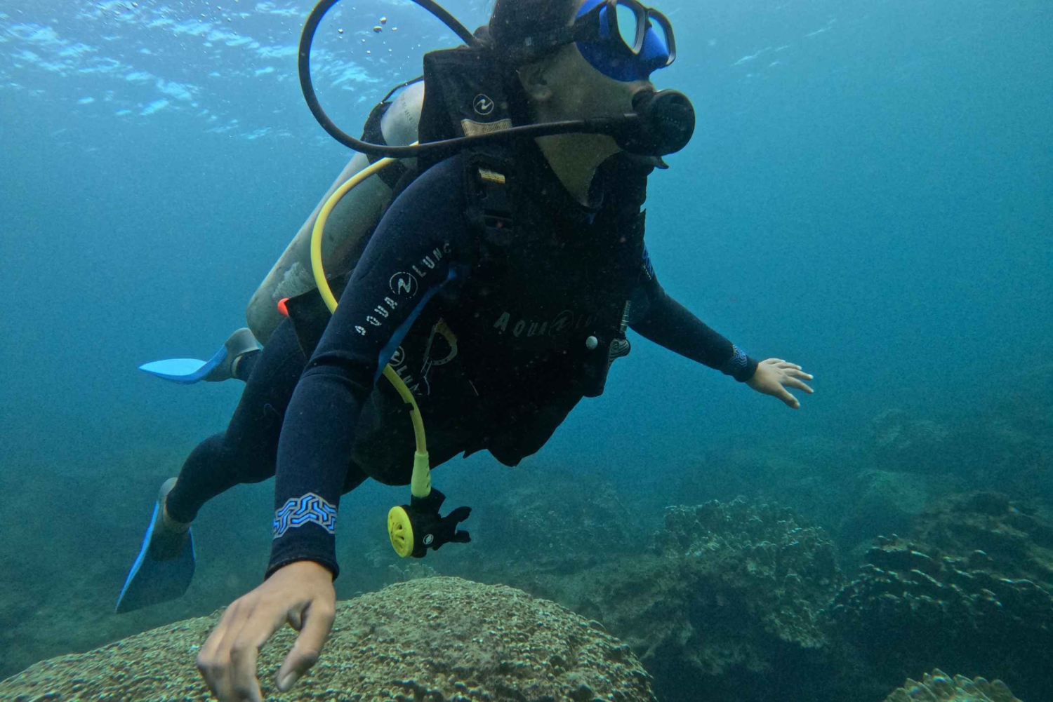 Ilha de Páscoa: Mergulho tropical