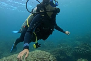 Остров Пасхи: тропический дайвинг