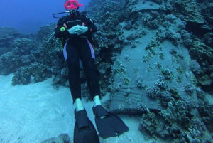 Ilha de Páscoa: Mergulho tropical