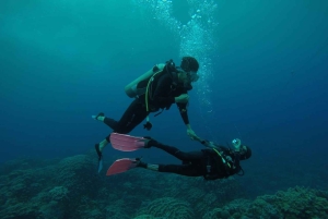 Ilha de Páscoa: Mergulho tropical