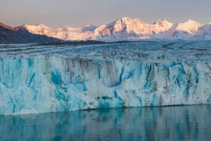 El Chaltén: navigazione al ghiacciaio Viedma