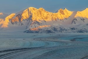 El Chaltén: navigazione al ghiacciaio Viedma
