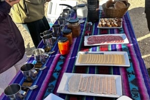 Geyser del Tatio: Visita guiada con Guia Local