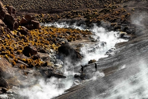 Geyser del Tatio: Opastettu kierros paikallisen oppaan kanssa