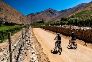 Elqui Valley: Bike Tour