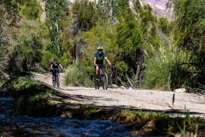 Elqui Valley: Bike Tour