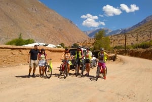 Valle dell'Elqui: giro in bicicletta