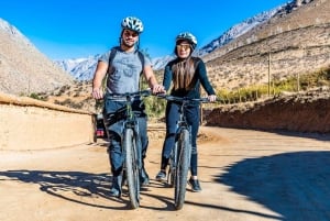 Vallée de l'Elqui : Tour à vélo