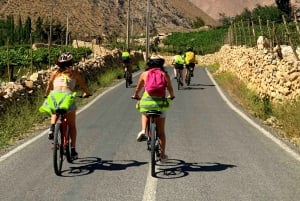 Valle dell'Elqui: giro in bicicletta