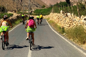 Dolina Elqui: Wycieczka rowerowa