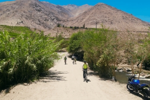Dolina Elqui: Wycieczka rowerowa