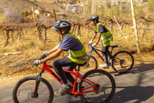 Dolina Elqui: Wycieczka rowerowa