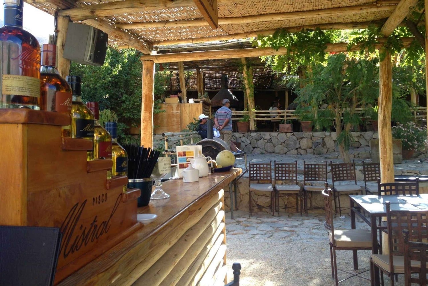 Elqui-Tal Tour ab La Serena