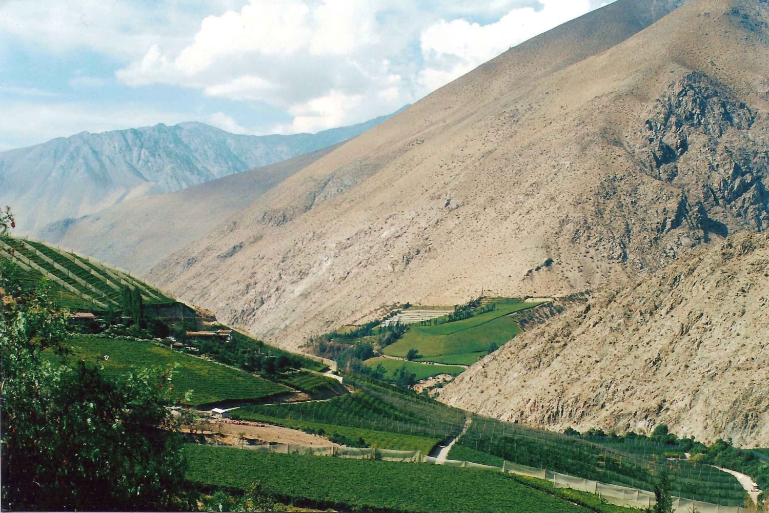 Elqui-Tal Tour ab La Serena