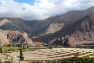Elqui-Tal Tour ab La Serena