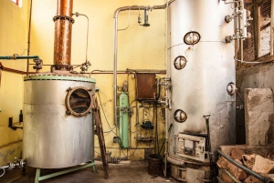 Tur i Elqui-dalen: Patrimonial og naturlig