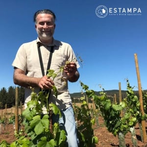 Estampa Winery
