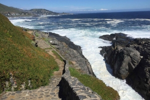 Eksklusiv gåtur i Zapallar, luksuriøse palæer og Cachaguas dyreliv