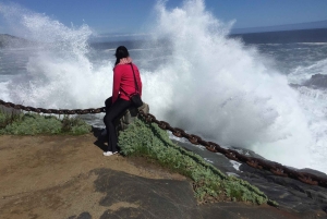Eksklusiv gåtur i Zapallar, luksuriøse palæer og Cachaguas dyreliv