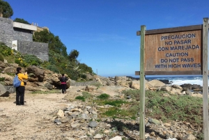 Eksklusiv gåtur i Zapallar, luksuriøse palæer og Cachaguas dyreliv