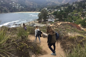 Eksklusiv gåtur i Zapallar, luksuriøse palæer og Cachaguas dyreliv