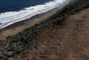 Eksklusiv gåtur i Zapallar, luksuriøse palæer og Cachaguas dyreliv