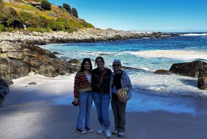 Eksklusiv gåtur i Zapallar, luksuriøse palæer og Cachaguas dyreliv