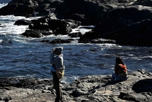 Eksklusiv gåtur i Zapallar, luksuriøse palæer og Cachaguas dyreliv
