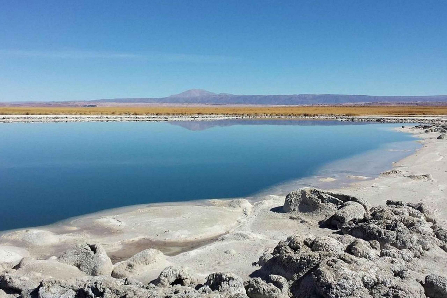 San Pedro de Atacama: Laguna Cejar, Tebenquiche i Ojos Salar