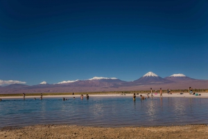 San Pedro de Atacama: Lagune van Cejar, Tebenquiche & Ojos Salar