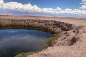 San Pedro de Atacama: Laguna di Cejar, Tebenquiche e Ojos Salar