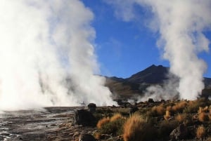 San Pedro de Atacama : Excursion aux geysers d'El Tatio et à la lagune de Machuca