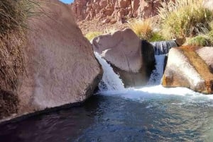 San Pedro de Atacama: Puritama Hot Springs halvdagstur
