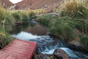 San Pedro de Atacama : Visite d'une demi-journée des sources d'eau chaude de Puritama