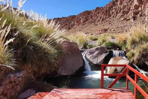 San Pedro de Atacama: Półdniowa wycieczka do gorących źródeł Puritama